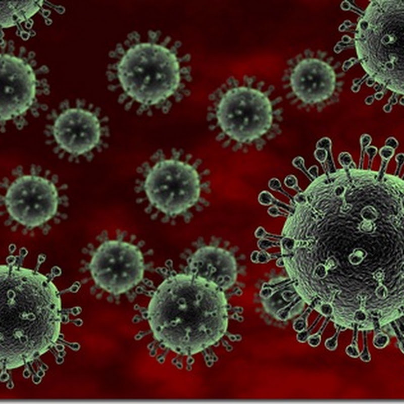 Claves del virus H5N1 desarrollados en el laboratorio revelados
