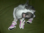 ...mittens