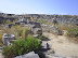 Mykonos and Delos