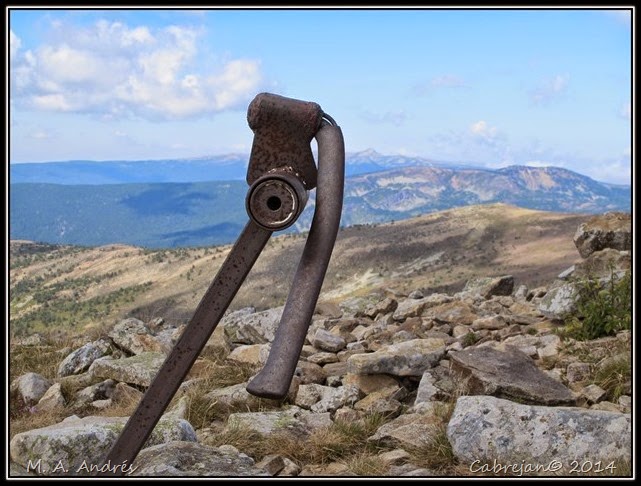 Vaca-soria 111 Vaca-soria 111