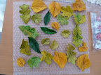 All of the leaves from Andie's Specialty Sweets. They were so delicate and realistic.