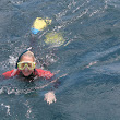 MPTswimmer.JPG