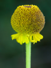 P8277688