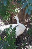 2011-08-28 14.23.56.jpg