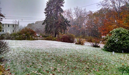 1. 11-2-14 first snow 1. 11-2-14 first snow