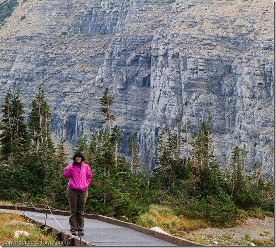 Hiking the Highline Trail in Glacier