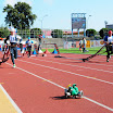 DSC_9239.JPG