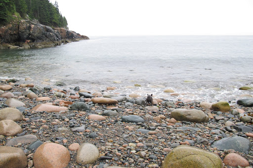 G.K. - This was a very good idea.  I love all the salty smells on the beach and I don't even mind that it's raining.