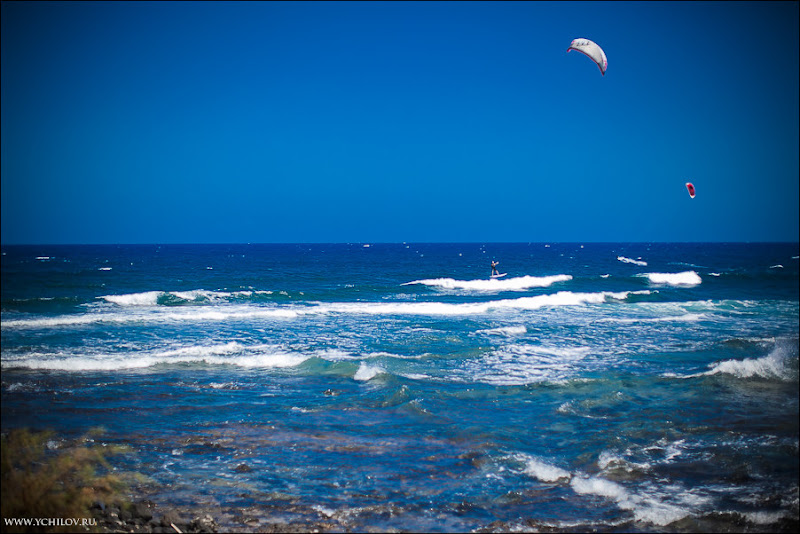 060 www.ychilov.ru foto tenerife.jpg