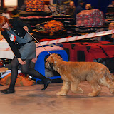 Abi - DSC_0056.jpg