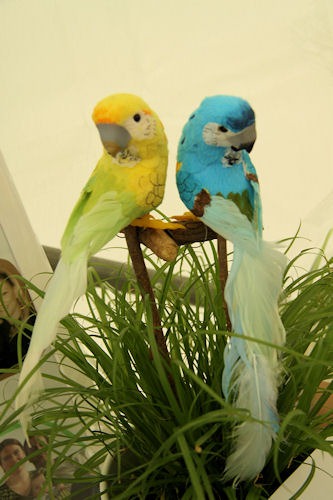 [IMG_2599%255B9%255D.jpg]