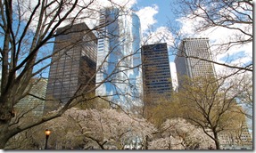 DSC_0679 DSC_0679