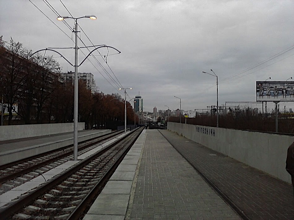 P061110_11.53.jpg