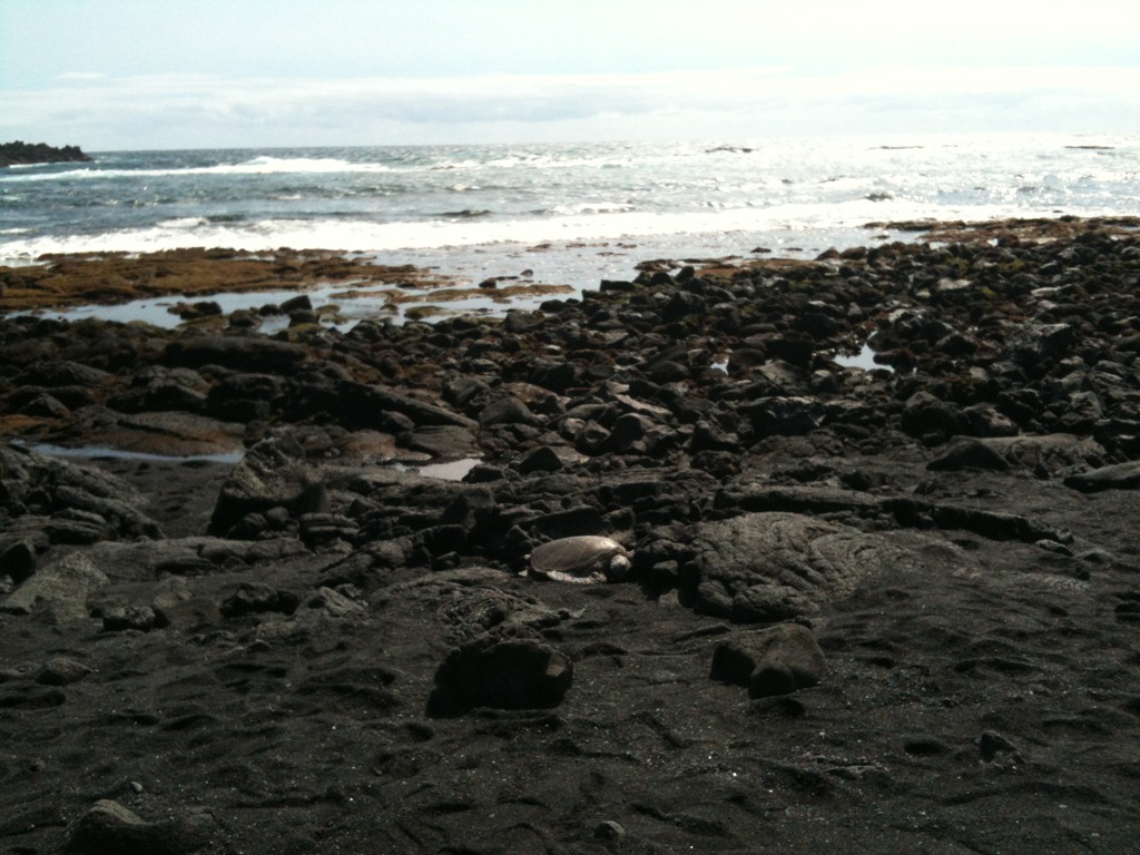 [IMG_0283%255B3%255D.jpg]