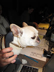 A phone call for moi? - as Franny would say