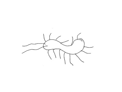 Krabbeln.jpg