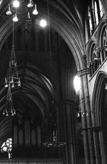 In-the-Cathedral-5