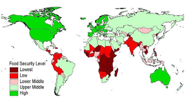 global food security