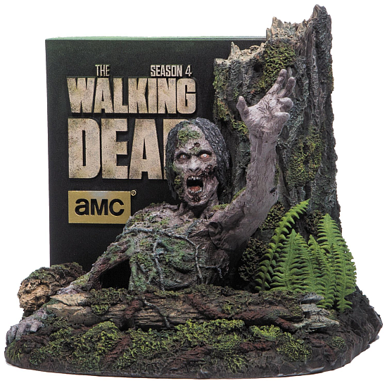 twd twd