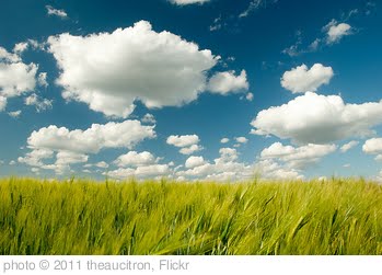 'Clouds' photo (c) 2011, theaucitron - license: http://creativecommons.org/licenses/by-sa/2.0/
