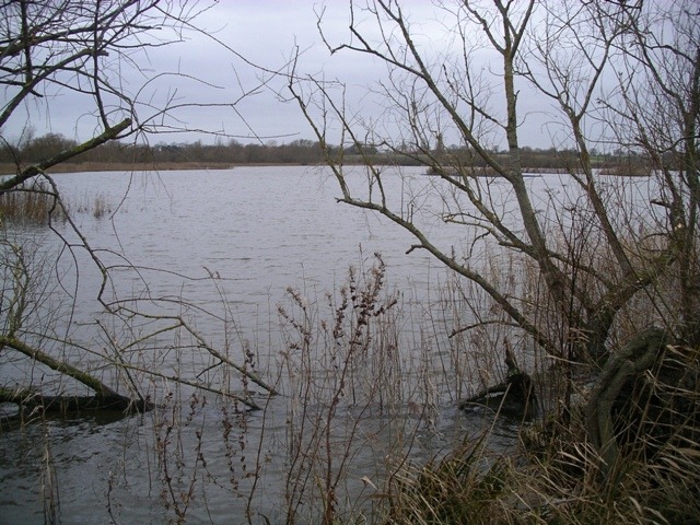 IMGP1832