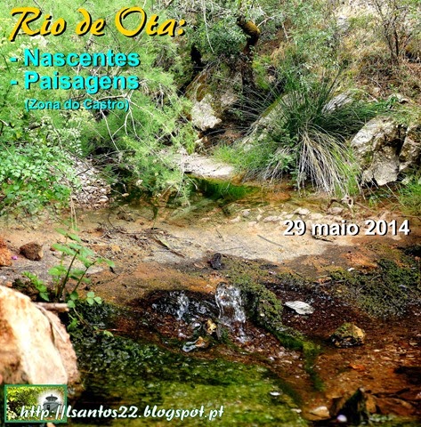 [Rio%2520de%2520Ota%2520-%2520Nascentes%2520e%2520paisagens%2520-%252029.05.14%255B3%255D.jpg]