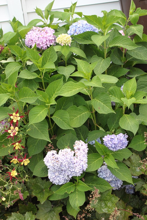 [2011_07_04_1470.jpg]