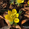 dsc07165.jpg