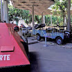 60051916.jpg