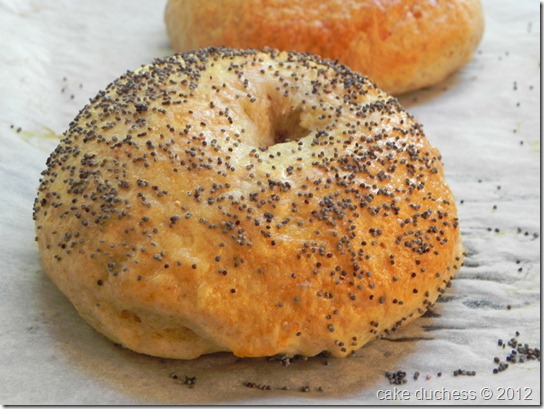 poppy-seed-bagels-tuesdays-with-dorie-2 poppy-seed-bagels-tuesdays-with-dorie-2