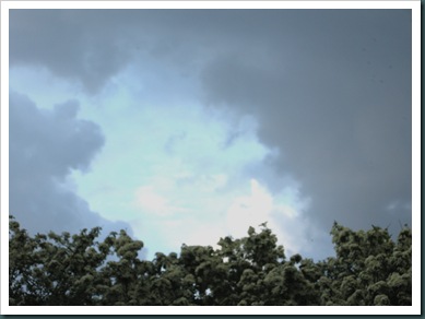 DSCN1020