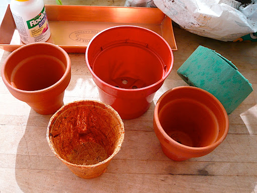 I'm trying terra cotta, plastic and coir pots to see which ones will work the best. Coir is processed coconut fiber that's used primarily in orchid potting mixes and has recently been showing up as pots.