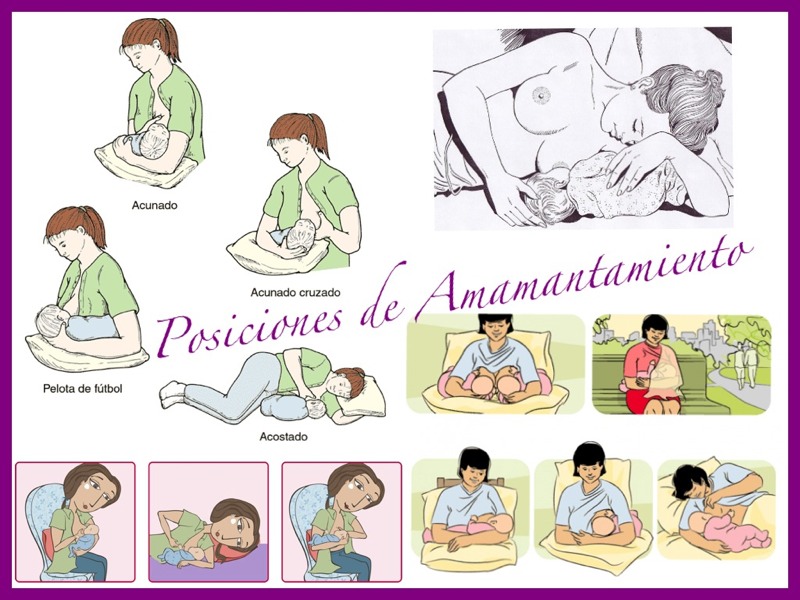 10 PASO PARA LA LACTANCIA MATERNA 10 paso para la lactancia materna: