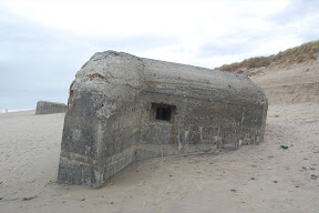 DSC_0163.JPG