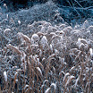 20090124 RVP_25-Edit.jpg