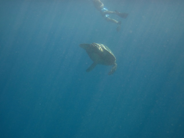 [IMG_3506%255B3%255D.jpg]