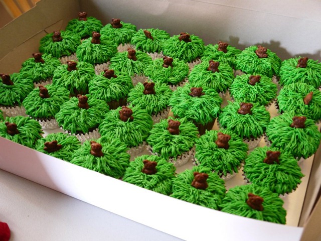 [ValenHog%2520grassy%255B2%255D.jpg]