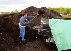 1410043 Oct 08 Barb Shovelling Compost