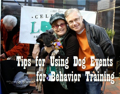 [how%2520to%2520use%2520dog%2520events%2520for%2520behavoiral%2520rehab%2520training%255B3%255D.jpg]
