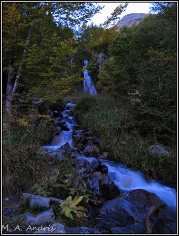 Llena Cantal 005