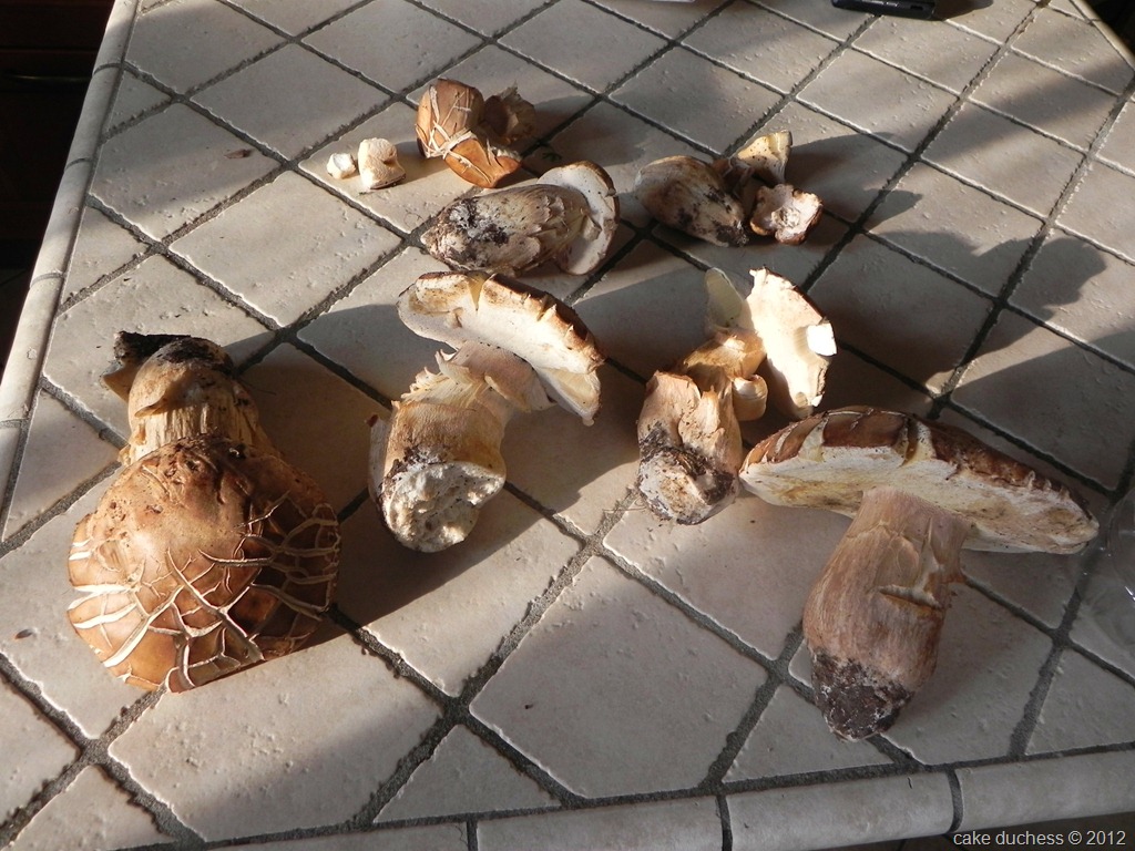 [risotto-con-i-funghi-porcini-3%255B6%255D.jpg&description=Risotto with Porcini Mushrooms {Risotto con i Funghi Porcini}')]