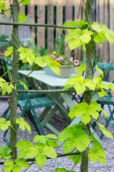 Flätade väggar i pergola Flätade väggar i pergola
