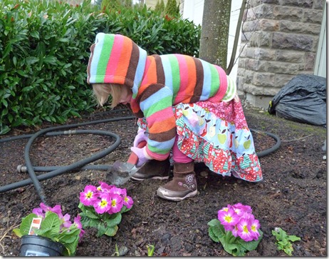 Vivi Planting Primroses 2