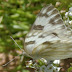 20120425_10