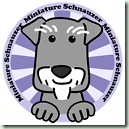 schnauzer