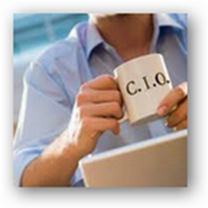 CIOs Have Everything To Worry About Compared to CEOs Fiddling Around With Branding Perceptions Related to Profits, No Popularity Contests for the CIOs