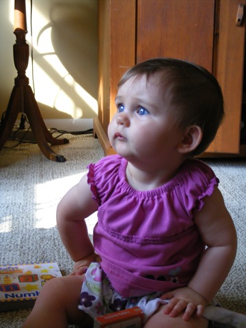 [DSCF6472%255B3%255D.jpg]