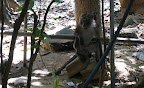 DSC06637.JPG