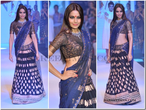 Designer_Saree_@_IIJW_2012 (1)