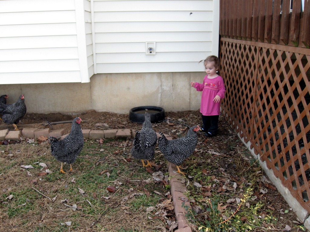 [IMG_7901%255B8%255D.jpg]